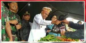 Berhasil Panen Cabai, Pasukan Raider 700 Dapat Pujian Dari Bupati dan Masyarakat Keerom Papua
