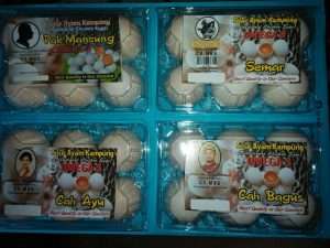 Telur Ayam Kampung Omega3 Memiliki Kandungan Gizi Yang Dibutuhkan Tubuh