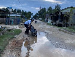 Jalan Ketapang Mameh Rusak Parah Luput Dari Perhatian Pemerintah