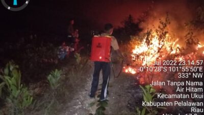 Lahan Taman Nasional Tesso Nilo Kembali Terbakar, Tim Brigdalkarhut Bergerak Cepat