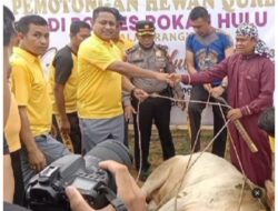 76 Peserta Qurban di Polres Rohul Salurkan 456 Bungkus Daging Pada Masyarakat