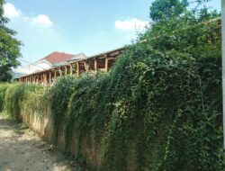 Bangunan Ruko Tanpa IMB di Jalan Sadar Diduga Dibekingi Pejabat Kecamatan Jagakarsa, Walikota Jaksel Meradang