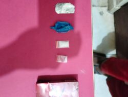 Satnarkoba Polres Pelalawan Berhasil Ringkus 1 Orang Lagi Tersangka Pengedar Narkoba
