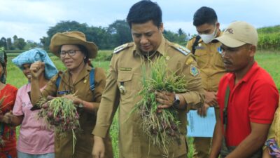 Vandiko Gultom Relakan Masa Mudanya Mengabdi Di Samosir