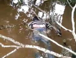 Penemuan Mayat Mengapung Di Sungai Kampar, di Desa Sering