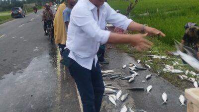 Mobil Bermuatan Ikan Yang Terbalik Kabag OPS Polres Aceh Timur Membantu Evakuasi