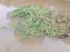 Sampah Rumput Liar di Sungai Pangkalan Kerinci, Kabupaten Pelalawan,Membuat Resah Masyarakat