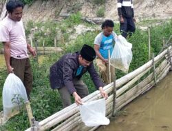 Pantas Sinaga Berikan 3000 Bibit Ikan Mas di Desa Parhorasan Pangururan