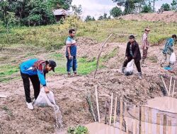 Pantas Marroha Sinaga Beri Bantuan Bibit Lele Ribuan Ekor di Desa Saornauli Samosir