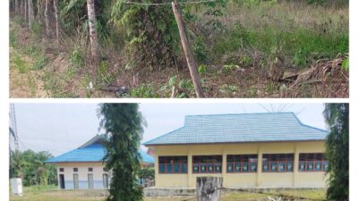 Warga Berharap Agar Pemasangan Kabel PLN ke Pos Jaga Pembibitan Sawit Agar Ditinggikan Lagi