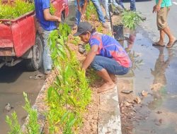 Ciptakan Lingkungan Asri, DLH Kota Langsa Giat Penanaman Aneka Ragam Bunga Hias di Median Jalan