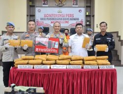 Polres Langsa Berhasil Ungkap Peredaran Ganja Capai 58.850 Gram
