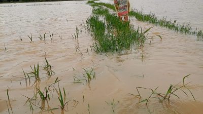 GEMPITA Dorong Pemda Ambil Langkah Konkrit Atasi Banjir 13 Kecamatan di Pandeglang