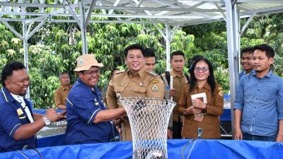 Bupati Samosir Panen Perdana Ikan Nila Pokdakan Mekar