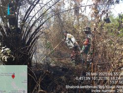 Kebakaran Lahan Kosong di Rimbo Panjang, Pemadaman Terkendala Akses Air dan Kondisi Gambut