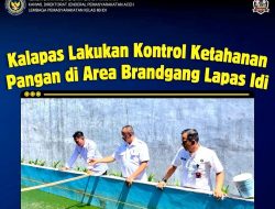 Kalapas Lakukan Kontrol Ketahanan Pangan di Area Brandgang Lapas Idi