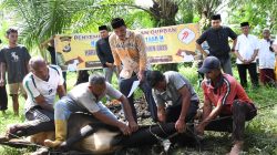 Polres Aceh Timur Salurkan 450 Paket Daging Kurban Kepada Anak Yatim, Fakir Miskin dan Warga Kurang Mampu