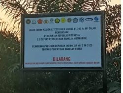 Oknum Pejabat Desa dan Perangkatnya akan Di Proses Hukum, Kerana Telah Menyebabkan Perubahan Hutan Dalam Kawasan TNTN