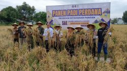 Dukung Program Ketahanan Pangan Nasional, Lapas Kelas I Cirebon Panen Padi Perdana