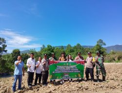 Dukung Ketahanan Pangan Nasional, Polsek Silaen Bersama Muspica Gelar Penanaman Jagung Serentak Kuartal III
