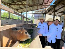 Kakanwil Ditjenpas Aceh Resmikan Kandang Sapi Asta Cita di Lapas Sinabang