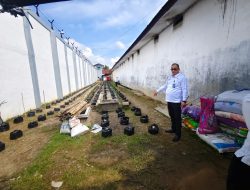 Kalapas Langsa Pantau Langsung Pelaksanaan Pelatihan Kemandirian Pertanian WBP sebagai Upaya Ketahanan Pangan