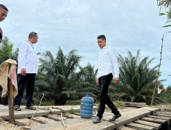 Wakil Bupati Aceh Timur T. Zainal Abidin Tinjau Langsung Jembatan Hampir Ambruk di Desa Alue Canang