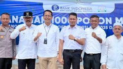 Wakil Bupati Aceh Timur dan Bank Indonesia Lhokseumawe Tanam 1.000 Pohon Mangrove