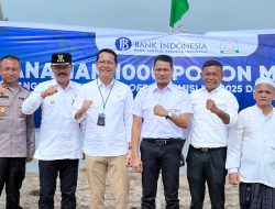 Wakil Bupati Aceh Timur dan Bank Indonesia Lhokseumawe Tanam 1.000 Pohon Mangrove