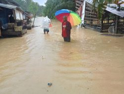 Banjir Rendam Desa Seuneubok Buloh, Akses Warga Terputus dan Musrenbang Ditunda