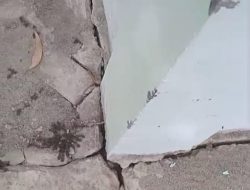 Kadis Kesehatan Kabupaten Samosir Bungkam Terkait Gedung Farmasi, LSM GRACIA Minta Bupati Vandico Lakukan Evaluasi