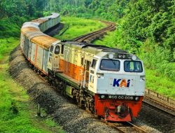 Angkutan Perkebunan KAI Tembus 521.698 Ton, Menopang Kebutuhan Masyarakat Jelang Natal dan Tahun Baru