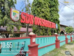 Ketua PW FRN Wilayah Riau SDN 006 Sorek Dua Kecamatan Pangkalan Kuras , Butuh Perhatian Pemerintah
