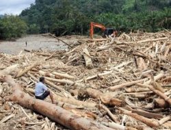 Banjir Bandang di Sumut, Sumbar dan Aceh Ditelisik Satgas PKH Apakah Terkait Dugaan Illegal Logging