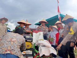 Polres Pelalawan Panen Raya Jagung di Pelalawan, Dukung Program Ketahanan Pangan