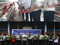 Kemenimipas Gelar Panen Raya Serentak Nasional, Lapas Pasir Pangarayan Panen Sayur dan Telor Ayam Hasil Pembinaan Warga Binaan