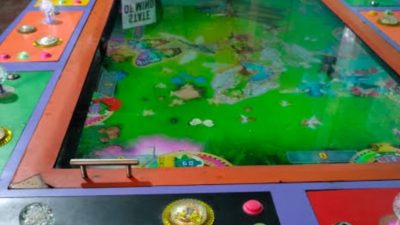 Sudah Sangat Meresahkan Masyarakat, Kapolda Jambi Diminta Untuk Memberantas Judi Meja Ikan-Ikan di Tanjabbar