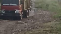 Hukum Kembali “Ditampar” Pembalakan Liar di Kerumutan dan Teluk Meranti, Riau