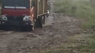 Hukum Kembali “Ditampar” Pembalakan Liar di Kerumutan dan Teluk Meranti, Riau