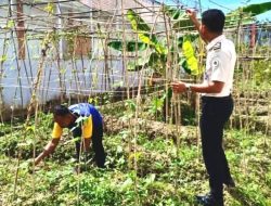 Menyulap Lahan Steril Menjadi Lumbung Pangan : Hijau Branggang di Balik Jeruji