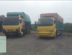 Dua Truk Angkut Kayu Alam Diduga Hasil Pembalakan Liar di Pelalawan Diamankan Polsek Bunut
